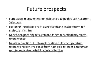 CURRENT STATUS AND FUTURE PROSPECTS OF SUGARCANE BREEDING IN INDIA | PPT