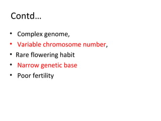 CURRENT STATUS AND FUTURE PROSPECTS OF SUGARCANE BREEDING | PPT