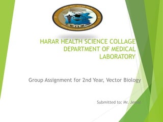HARAR HEALTH SCIENCE COLLAGE
DEPARTMENT OF MEDICAL
LABORATORY
Group Assignment for 2nd Year, Vector Biology
Submitted to: Mr. Jemal
 