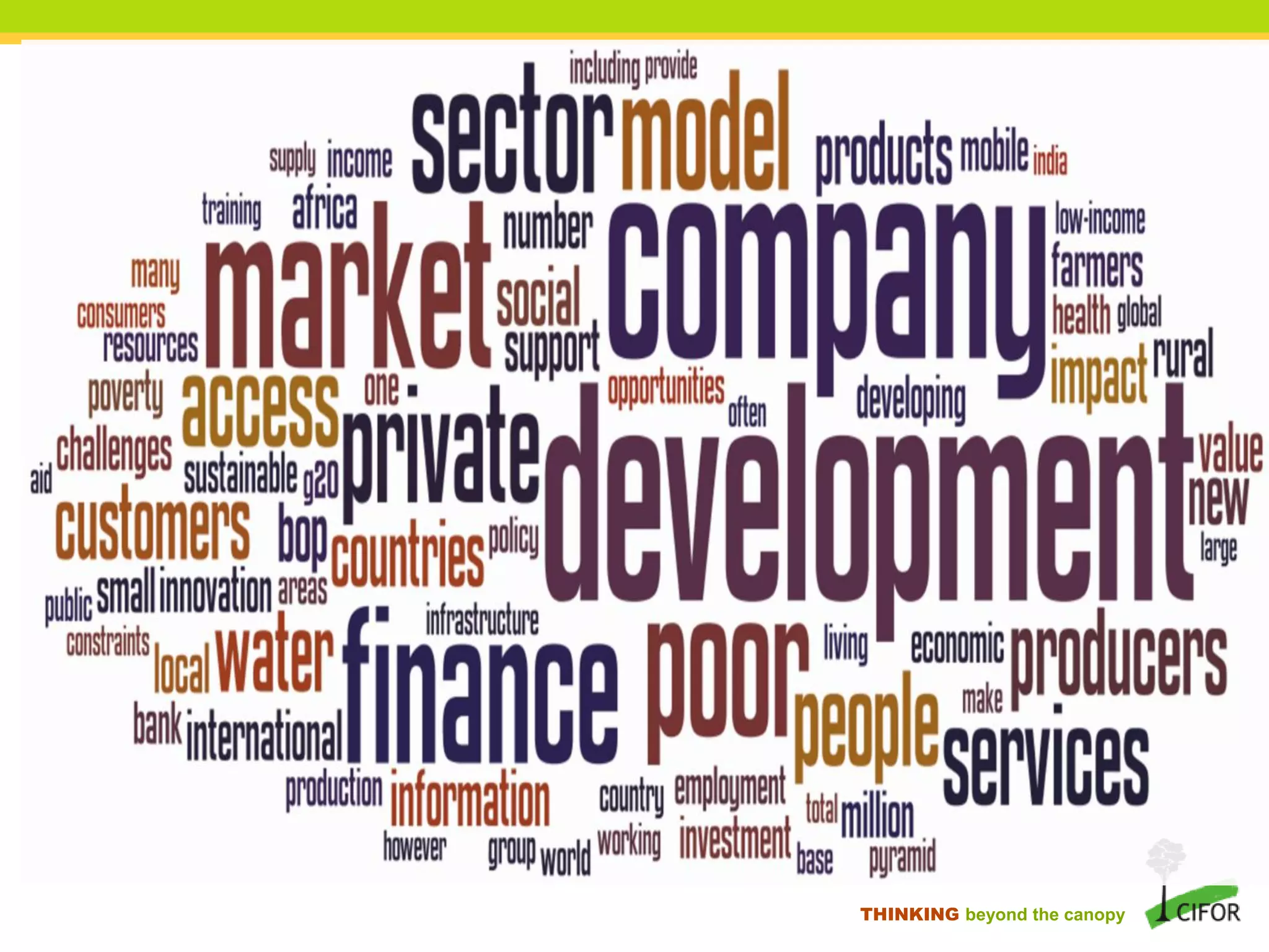 THINKING beyond the canopy
 