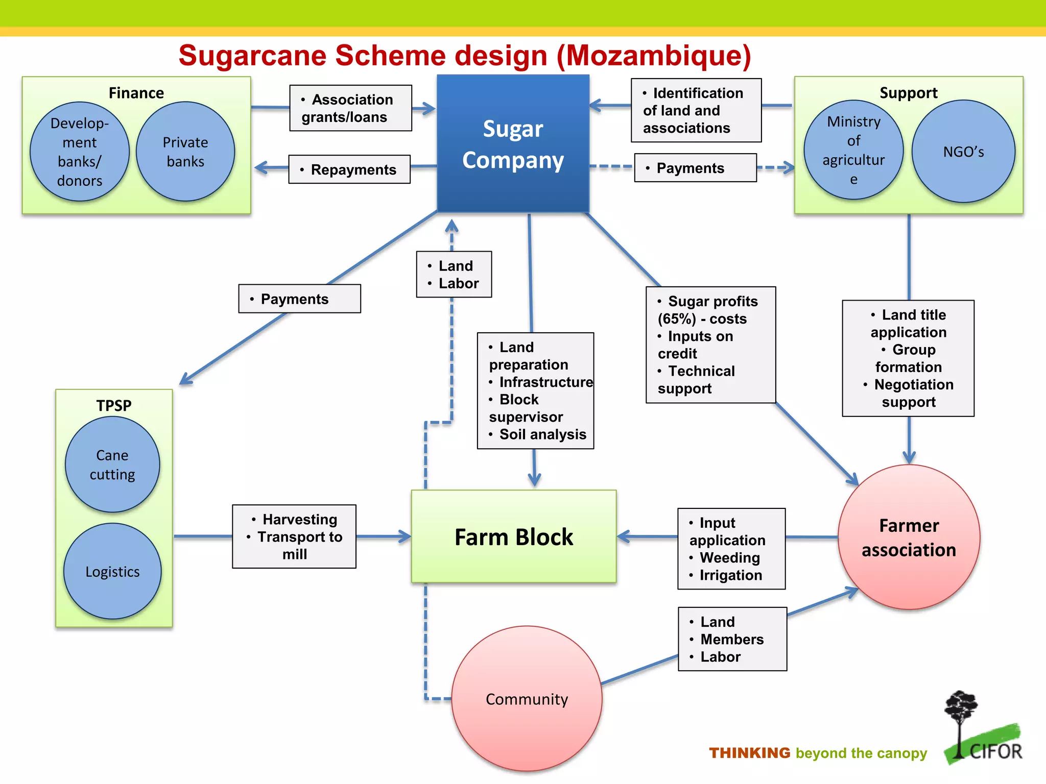THINKING beyond the canopy
Farm Block
Farmer
association
• Land
preparation
• Infrastructure
• Block
supervisor
• Soil analysis
• Land title
application
• Group
formation
• Negotiation
supportTPSP
Logistics
Cane
cutting
• Harvesting
• Transport to
mill
• Sugar profits
(65%) - costs
• Inputs on
credit
• Technical
support
Finance
Private
banks
Develop-
ment
banks/
donors
Community
Support
NGO’s
Ministry
of
agricultur
e
• Association
grants/loans
• Repayments
• Payments
• Land
• Members
• Labor
• Identification
of land and
associations
• Payments
Sugar
Company
• Input
application
• Weeding
• Irrigation
• Land
• Labor
Sugarcane Scheme design (Mozambique)
 