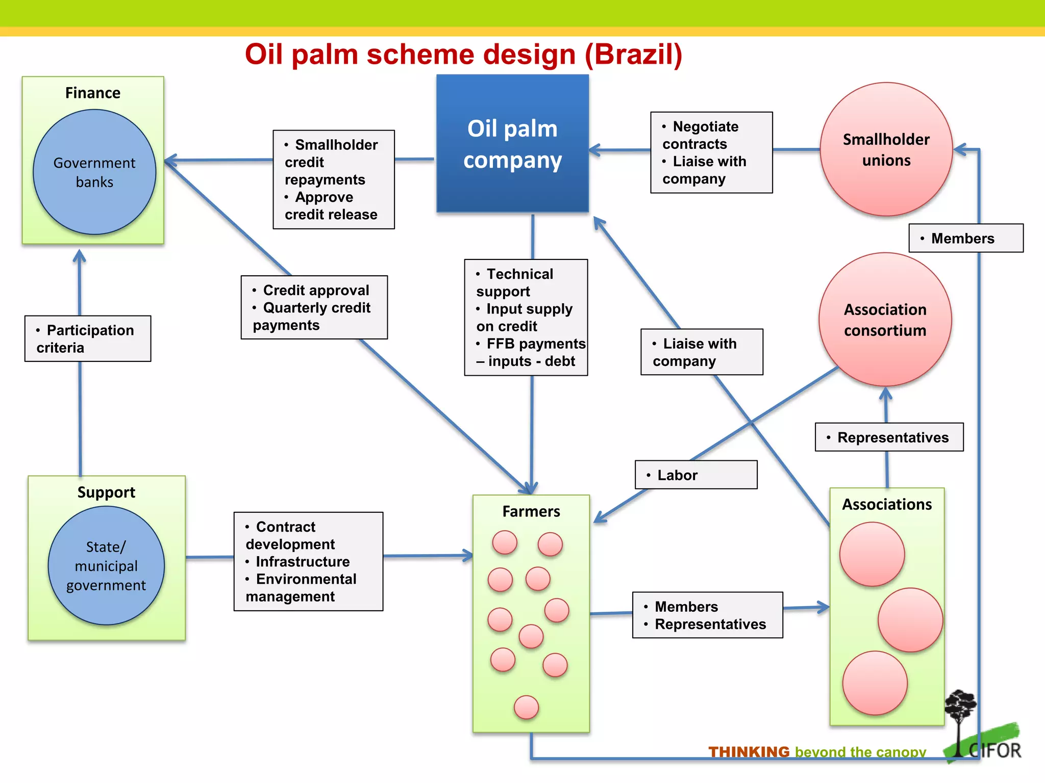 THINKING beyond the canopy
• Technical
support
• Input supply
on credit
• FFB payments
– inputs - debt
Finance
Government
banks
Support
State/
municipal
government
• Contract
development
• Infrastructure
• Environmental
management
• Smallholder
credit
repayments
• Approve
credit release
• Liaise with
company
Oil palm
company
Oil palm scheme design (Brazil)
Farmers
Smallholder
unions
Associations
• Credit approval
• Quarterly credit
payments
• Negotiate
contracts
• Liaise with
company
Association
consortium
• Labor
• Members
• Representatives
• Representatives
• Members
• Participation
criteria
 