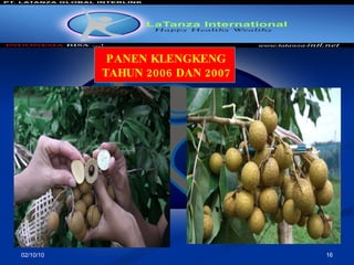 02/10/10 PANEN KLENGKENG TAHUN 2006 DAN 2007 
