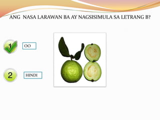 ANG NASA LARAWAN BA AY NAGSISIMULA SA LETRANG B?




     Yes
     OO




     No
     HINDI
 