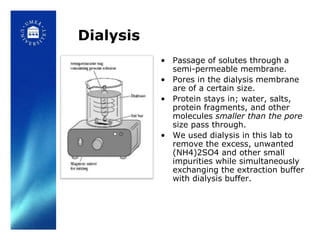 Dialysis
           • Passage of solutes through a
             semi-permeable membrane.
           • Pores in the dialysis membrane
             are of a certain size.
           • Protein stays in; water, salts,
             protein fragments, and other
             molecules smaller than the pore
             size pass through.
           • We used dialysis in this lab to
             remove the excess, unwanted
             (NH4)2SO4 and other small
             impurities while simultaneously
             exchanging the extraction buffer
             with dialysis buffer.
 