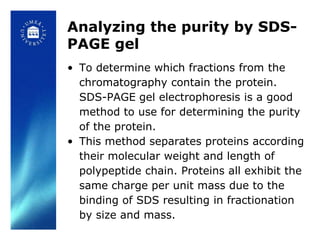 Analyzing the purity by SDS-
PAGE gel
• To determine which fractions from the
  chromatography contain the protein.
  SDS-PAGE gel electrophoresis is a good
  method to use for determining the purity
  of the protein.
• This method separates proteins according
  their molecular weight and length of
  polypeptide chain. Proteins all exhibit the
  same charge per unit mass due to the
  binding of SDS resulting in fractionation
  by size and mass.
 