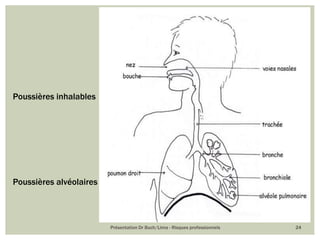 Présentation Dr Buch/Lima - Risques professionnels 24
Poussières inhalables
Poussières alvéolaires
 