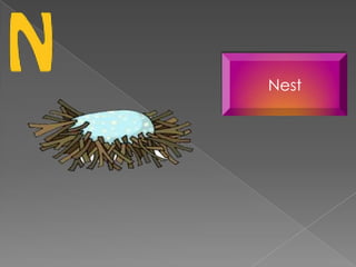 Nest
 