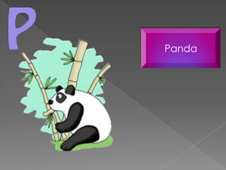 Panda
 