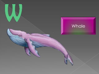 Whale
 