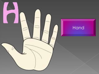 Hand
 