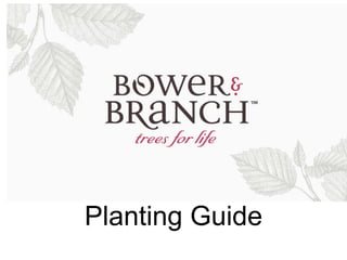 Planting Guide
 