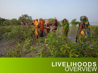 LIVELIHOODS OVERVIEW 