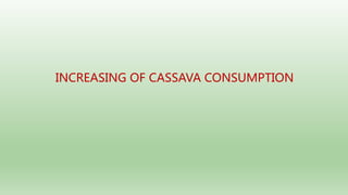 Follow up the increasing of cassava supply in China