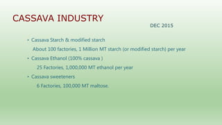 Follow up the increasing of cassava supply in China