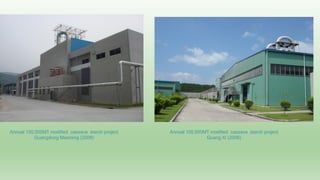 Follow up the increasing of cassava supply in China