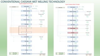 Follow up the increasing of cassava supply in China