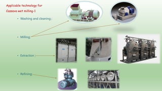 Follow up the increasing of cassava supply in China