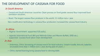 Follow up the increasing of cassava supply in China