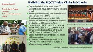 Follow up the increasing of cassava supply in China
