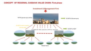 Follow up the increasing of cassava supply in China