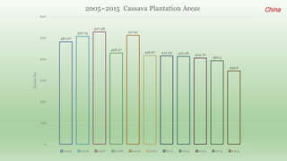 Follow up the increasing of cassava supply in China