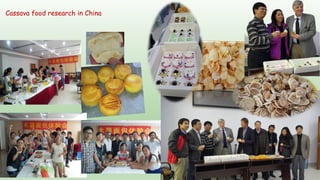 Follow up the increasing of cassava supply in China