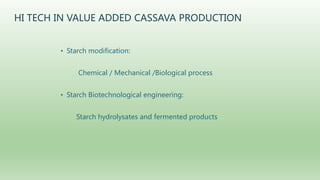 Follow up the increasing of cassava supply in China