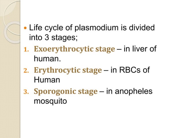 Presentation on The life cycle of plasmodium | PPTX