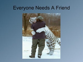 Everyone Needs A Friend
 