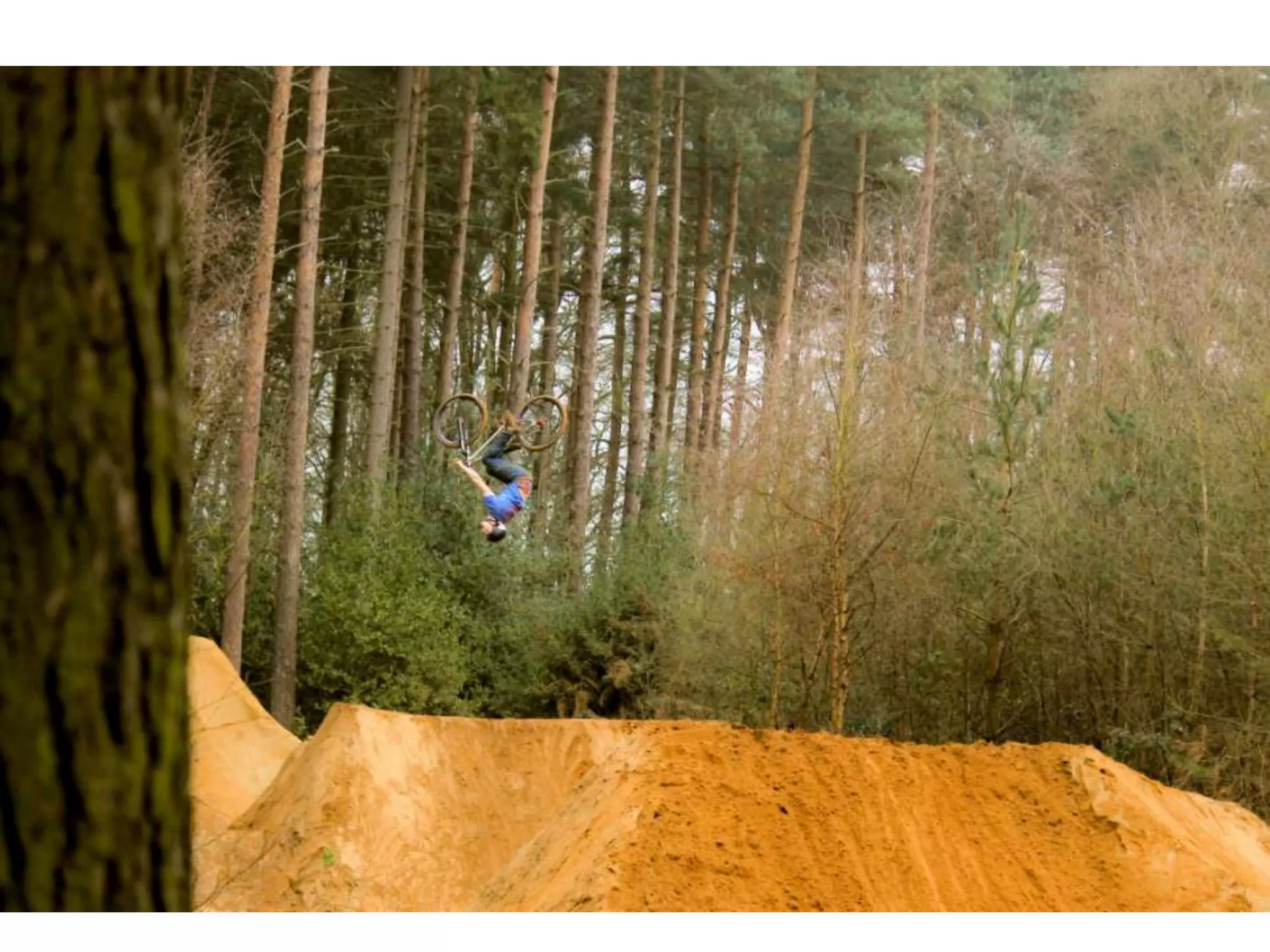 Presentation list article