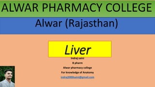 Liver
Indraj saini
B pharm
Alwar pharmacy college
For knowledge of Anatomy
indraj2000saini@gmail.com
ALWAR PHARMACY COLLEGE
Alwar (Rajasthan)
 