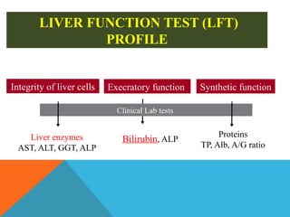 presentation advanced knowledge liver function test 2.pptx