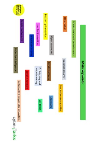 Main keywords 
Immersion in real environments 
Observation 
Open innovation 
Innovative communities 
Lead users 
Bottom up innovation 
User led innovation 
Innovation via uses 
Transdisciplinarity 
Social innovation 
Co-design 
Iterative process 
Sustainable & responsible innovation 
People involvement 
Prototyping and 
experimenting 
Collective intelligence 
 
