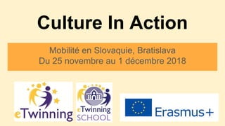 Culture In Action
Mobilité en Slovaquie, Bratislava
Du 25 novembre au 1 décembre 2018
 