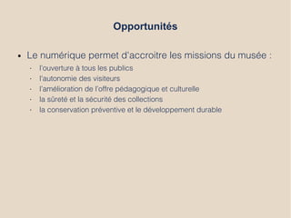 Opportunités
● Le numérique permet d'accroitre les missions du musée :
• l’ouverture à tous les publics
• l'autonomie des visiteurs
• l’amélioration de l’offre pédagogique et culturelle
• la sûreté et la sécurité des collections
• la conservation préventive et le développement durable
 