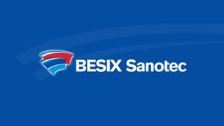 BESIX Group Entities