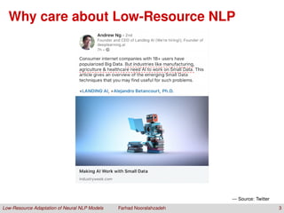 Low Resource Adaptation of Neural NLP Models | PDF