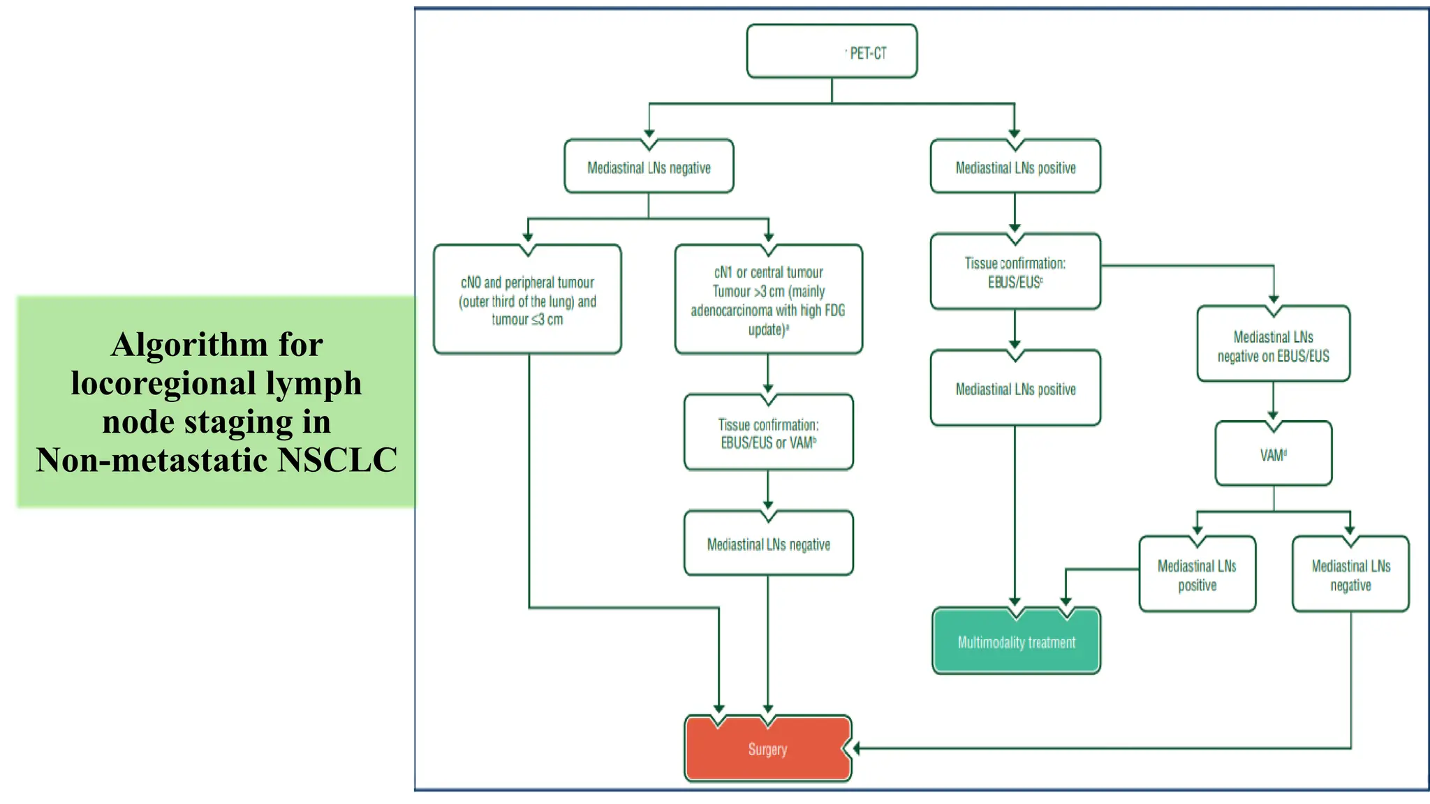 12
Algorithm for
locoregional lymph
node staging in
Non-metastatic NSCLC
 