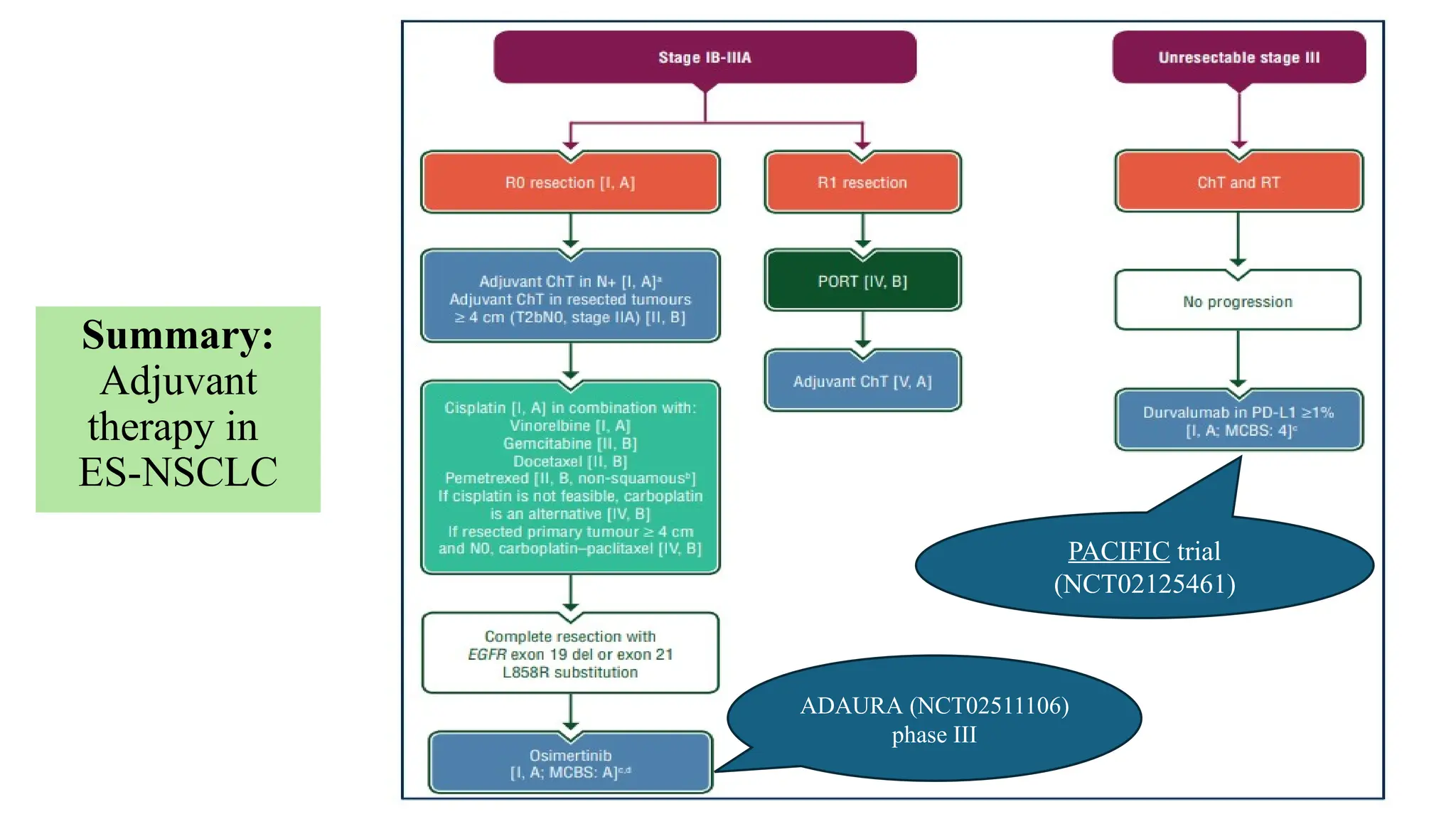 45
Summary:
Adjuvant
therapy in
ES-NSCLC
ADAURA (NCT02511106)
phase III
PACIFIC trial
(NCT02125461)
 