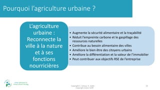 LUXEMBOURG CREATIVE 2019 : l'agriculture urbaine