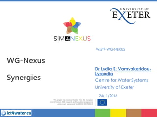 WG-Nexus
Synergies
WssTP-WG-NEXUS
Dr Lydia S. Vamvakeridou-
Lyroudia
Centre for Water Systems
University of Exeter
24/11/2016
 