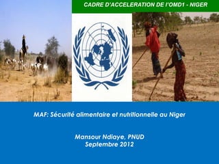 CADRE D’ACCELERATION DE l’OMD1 - NIGER




MAF: Sécurité alimentaire et nutritionnelle au Niger


              Mansour Ndiaye, PNUD
                Septembre 2012
                                                 0
                                            © United Nations Development Programme
 