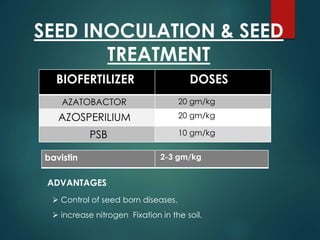 SEED INOCULATION & SEED
TREATMENT
BIOFERTILIZER DOSES
AZATOBACTOR 20 gm/kg
AZOSPERILIUM 20 gm/kg
PSB 10 gm/kg
bavistin 2-3 gm/kg
ADVANTAGES
 Control of seed born diseases.
 increase nitrogen Fixation in the soil.
 
