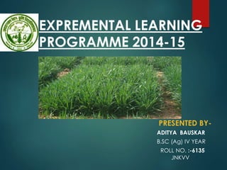 EXPREMENTAL LEARNING
PROGRAMME 2014-15
PRESENTED BY-
ADITYA BAUSKAR
B.SC (Ag) IV YEAR
ROLL NO. :-6135
JNKVV
 