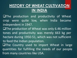 HISTORY OF WHEAT CULTIVATION
IN INDIA
The Country used to import Wheat in large
quantities for fulfilling the needs of our people
from many countries like USA.
The production and productivity of Wheat
crop were quite low, when India became
independent in 1947.
The production of Wheat was only 6.46 million
tones and productivity was merely 663 kg per
hectare during 1950-51, which was not sufficient
to feed the Indian population.
 