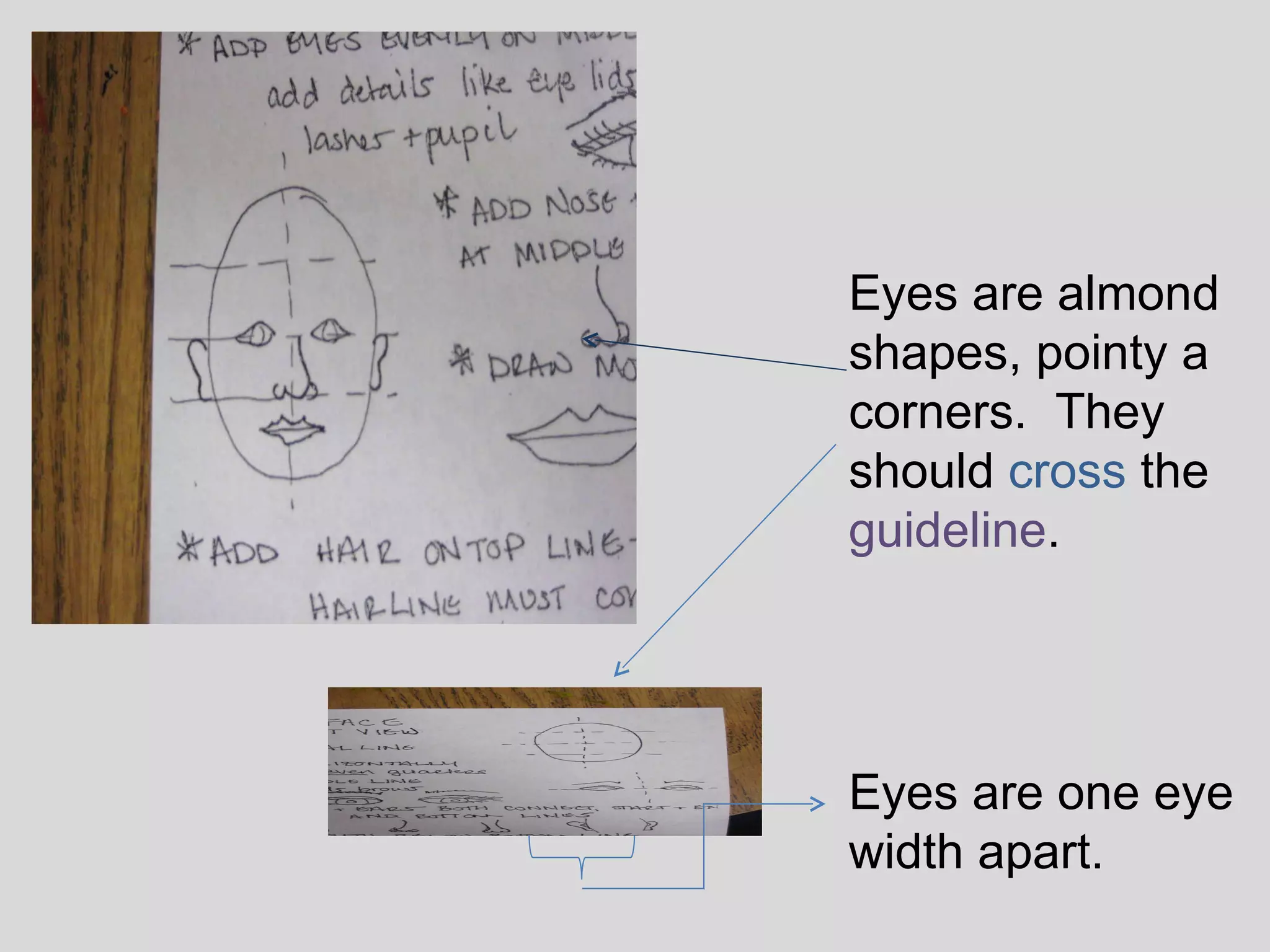 Eyes are almond shapes, pointy a corners.  They should  cross  the  guideline .  Eyes are one eye width apart.  