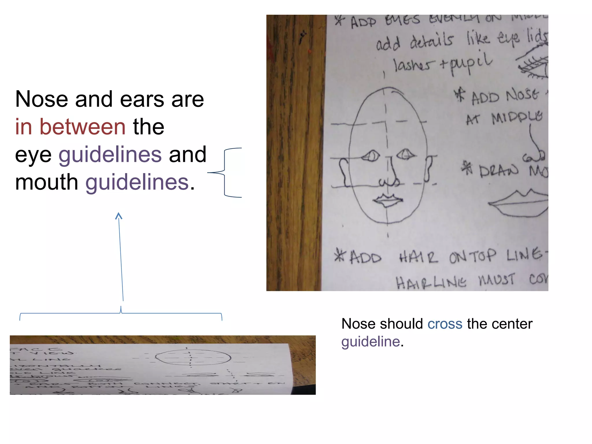 Nose and ears are  in between  the eye  guidelines  and mouth  guidelines .  Nose should  cross  the center  guideline .  