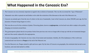 What Happened in the Cenozoic Era?
• The Cenozoic era was extremely important in regard to the evolution of mammals. This was the era termed the "Age of Mammals".
• Mammals were able to spread out and further evolve after the extinction of the dinosaurs at the end of the Mesozoic era.
• Cenozoic era animals grew from the size of a shrew to the size of mammoths. Later in the Cenozoic era, about 200,000 years ago, the first
ancestors of human beings began to evolve.
• This was also an era for the evolution of plants. Flowering plants, known as angiosperms, evolved and were able to adapt to the quickly
changing environment around them.
• The gymnosperms (plants that do not produce fruits) from previous eras were no longer able to keep up with the environmental changes
and were thus mostly replaced by the angiosperms.
• In terms of geography, the Cenozoic era was a time of movement and mountains. Initially, all of the landmasses of the world were
connected and were known as Pangea at the end of the Paleozoic era.
• Over the Mesozoic era, Pangea started to split and move apart. By the time of Cenozoic era geography, the continents had moved to new
locations, and some had started to collide.
Mammalogy Department of Wildlife and Ecotourism by Jibril Kedir (Msc In Biodiversity Conservation and Climate Smart Agriculture
 