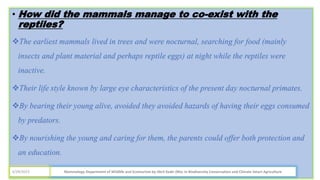 • How did the mammals manage to co-exist with the
reptiles?
The earliest mammals lived in trees and were nocturnal, searching for food (mainly
insects and plant material and perhaps reptile eggs) at night while the reptiles were
inactive.
Their life style known by large eye characteristics of the present day nocturnal primates.
By bearing their young alive, avoided they avoided hazards of having their eggs consumed
by predators.
By nourishing the young and caring for them, the parents could offer both protection and
an education.
Mammalogy Department of Wildlife and Ecotourism by Jibril Kedir (Msc In Biodiversity Conservation and Climate Smart Agriculture
4/29/2023
 